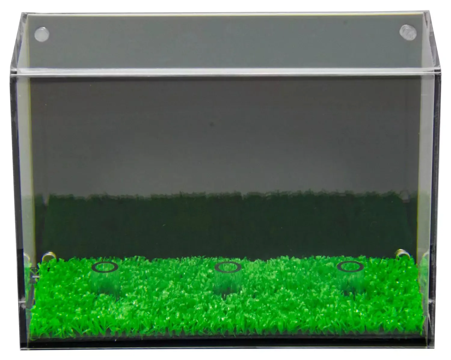 Acrylic Golf Ball Display Case with Turf Base