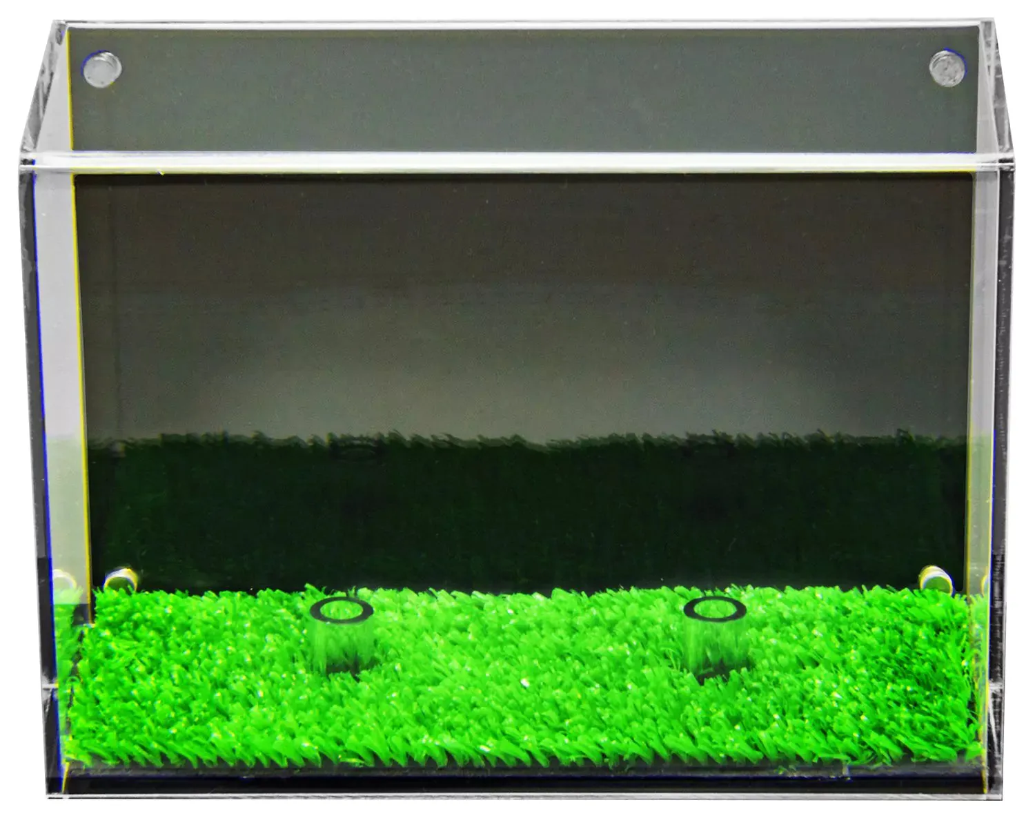 Acrylic Golf Ball Display Case with Turf Base