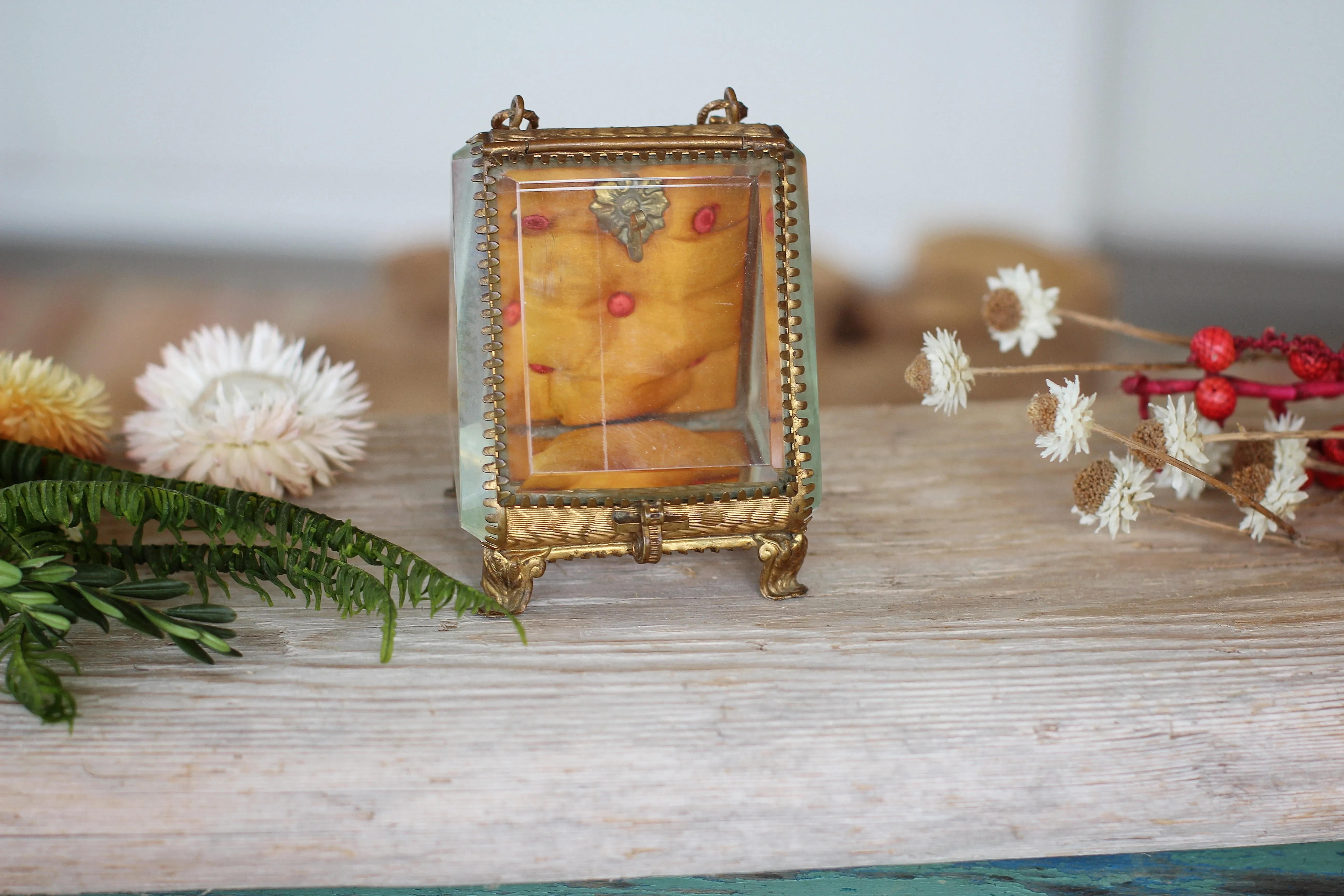 Antique Orange French Victorian Watch display case