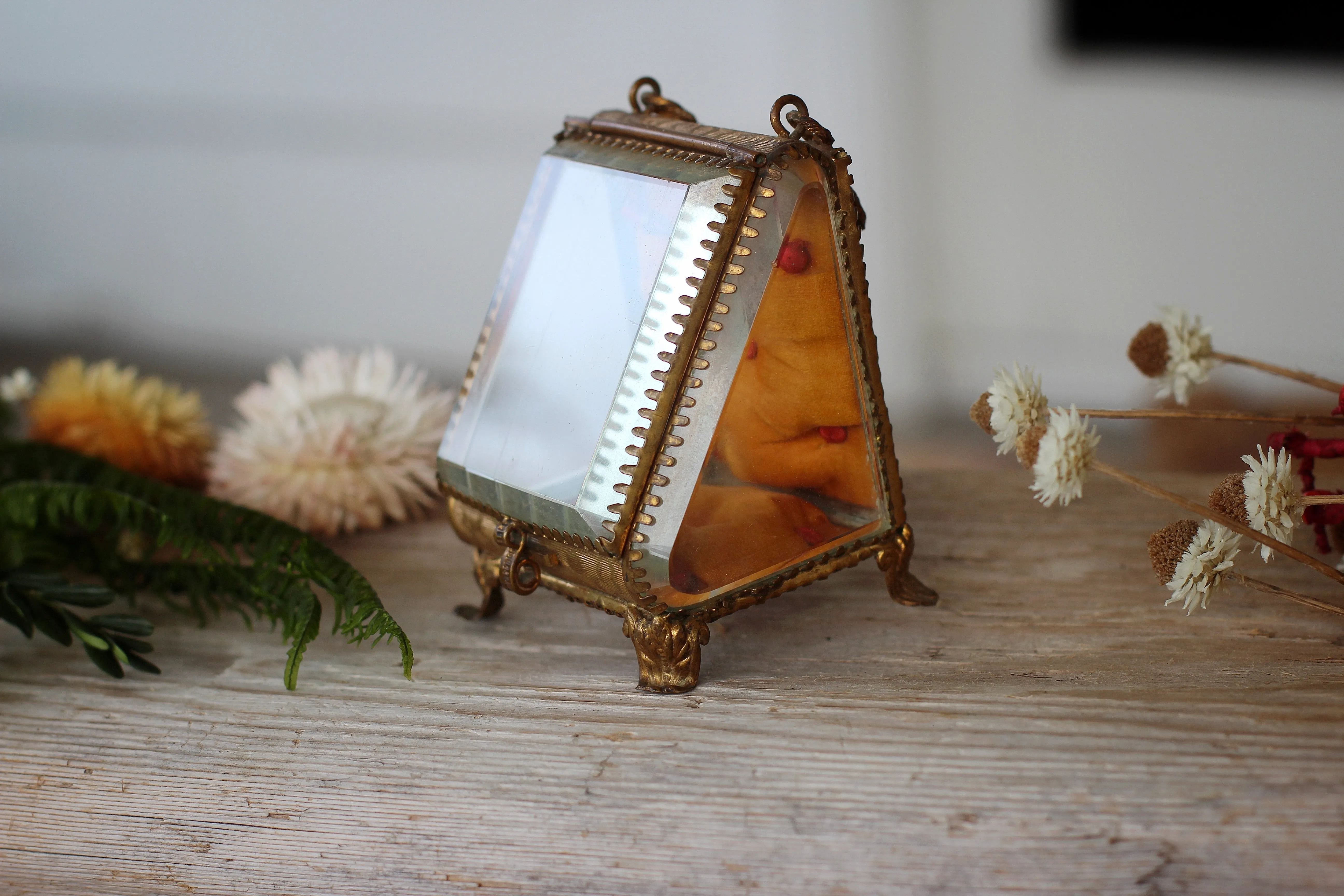 Antique Orange French Victorian Watch display case