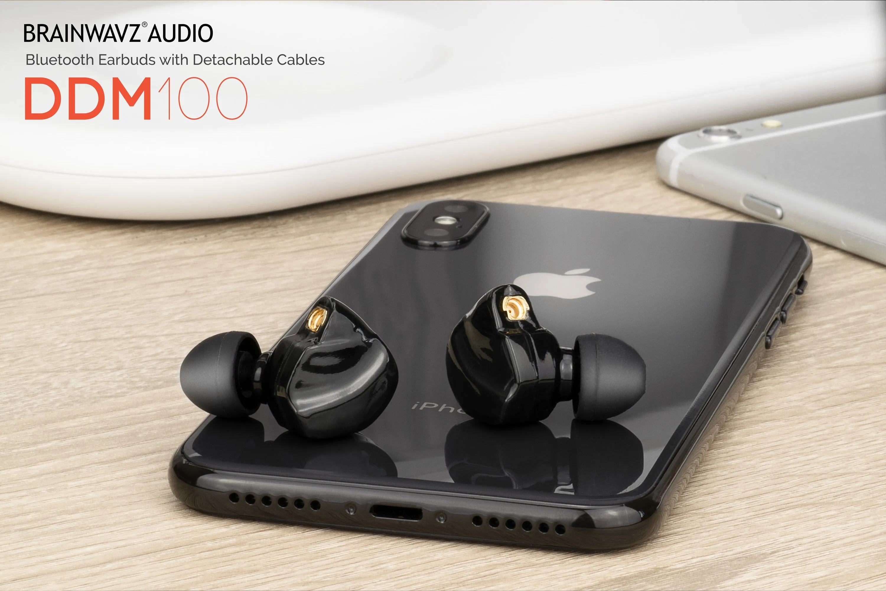 DDM100 - Detachable Wireless Neckband Earbuds