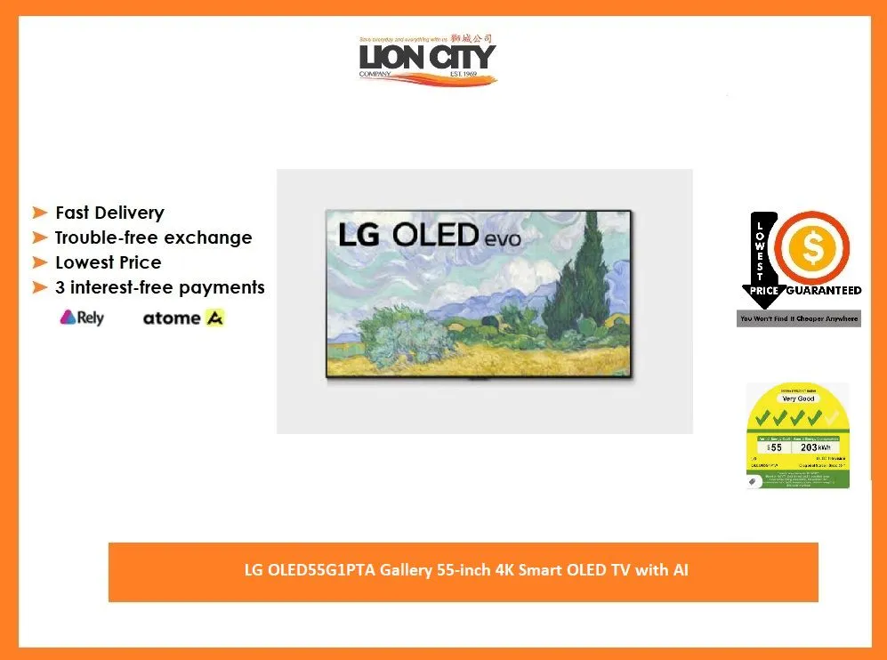 LG OLED55G1PTA Gallery 55-inch 4K Smart OLED TV with AI ThinQ