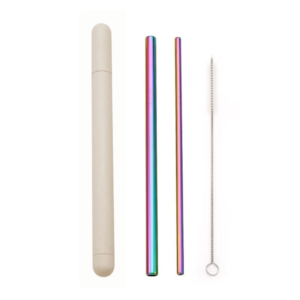 Metal Straws   Case