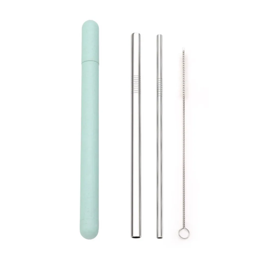 Metal Straws   Case