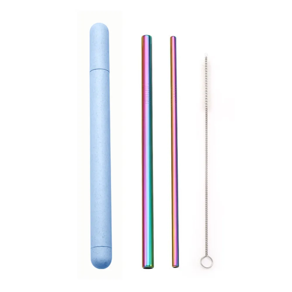 Metal Straws   Case