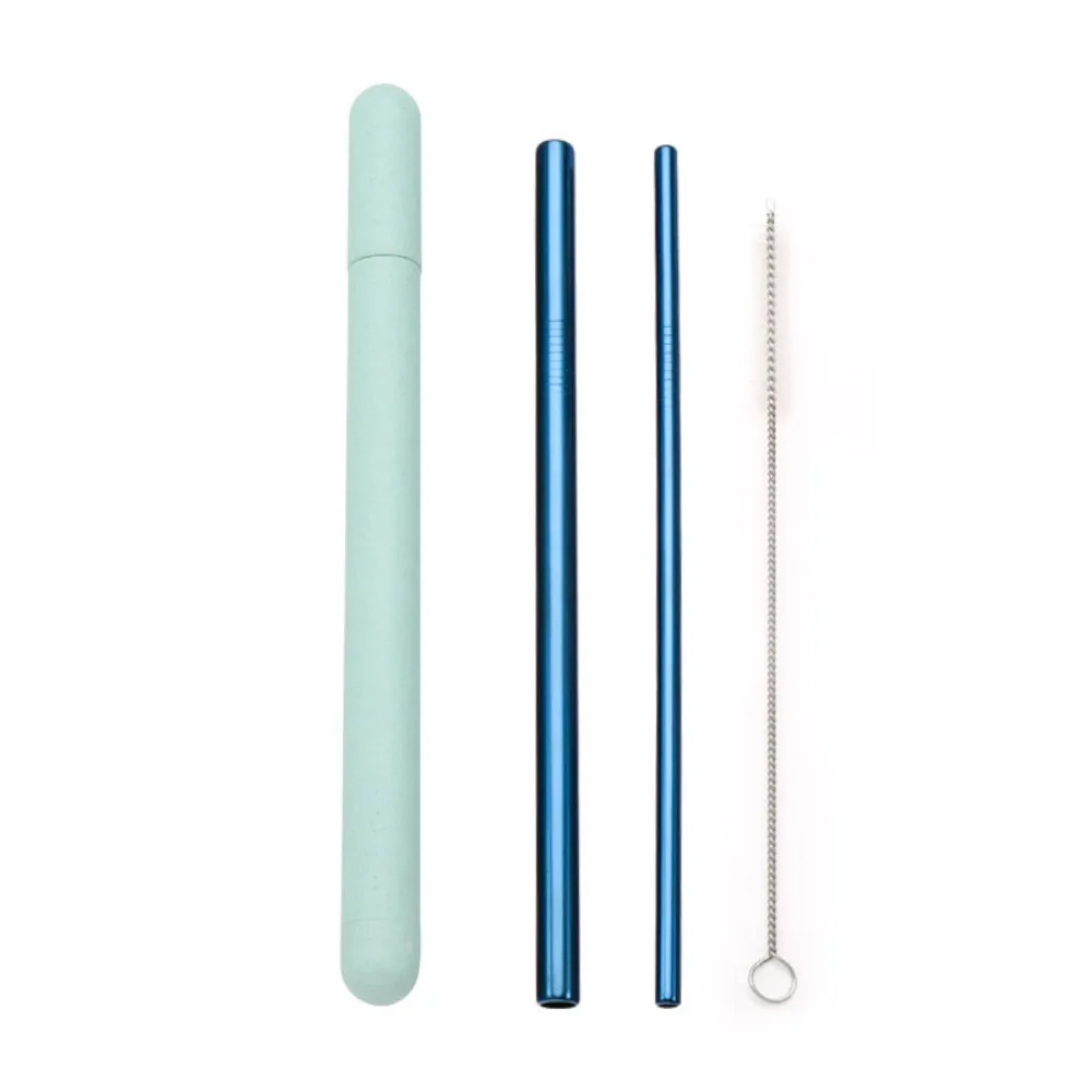 Metal Straws   Case