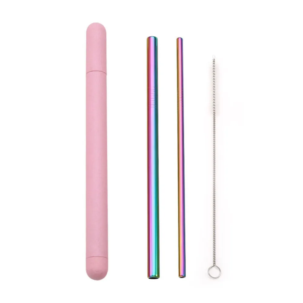 Metal Straws   Case