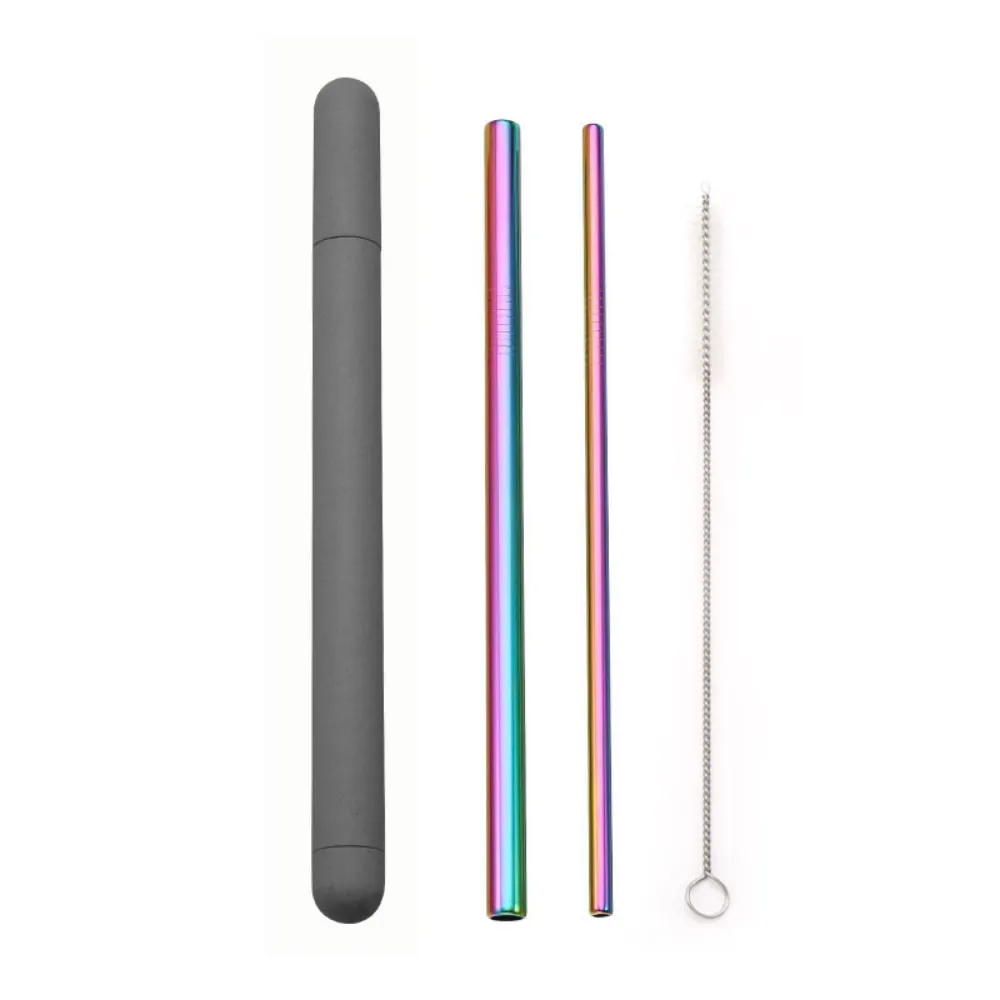 Metal Straws   Case