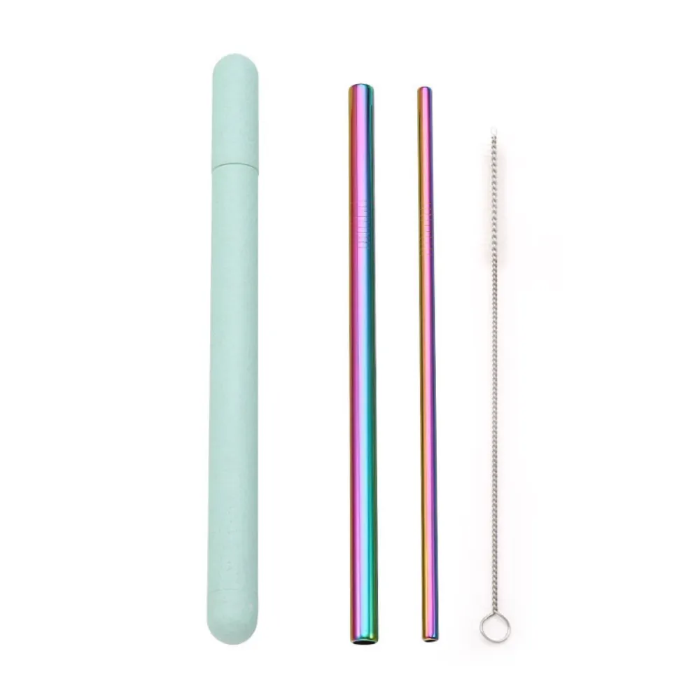 Metal Straws   Case