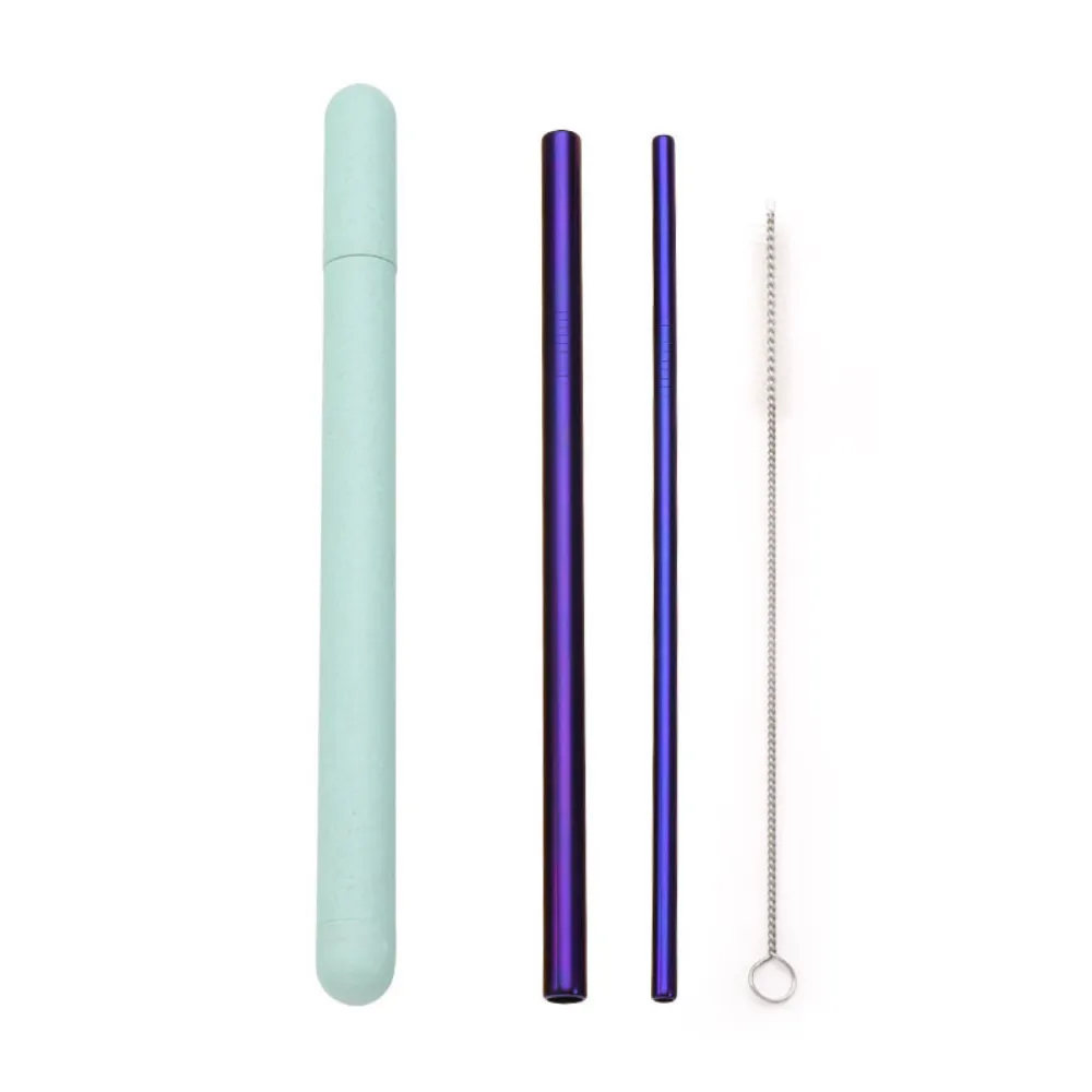 Metal Straws   Case