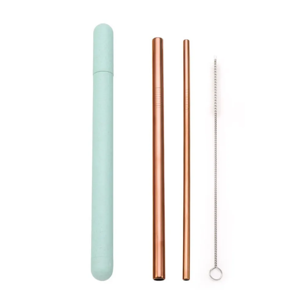 Metal Straws   Case